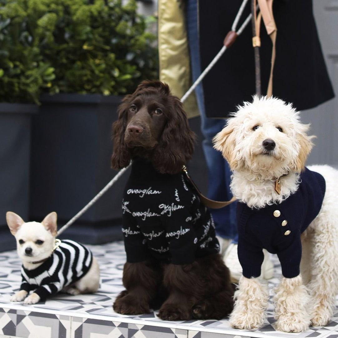 Zig Zag Jumper in Red and Black