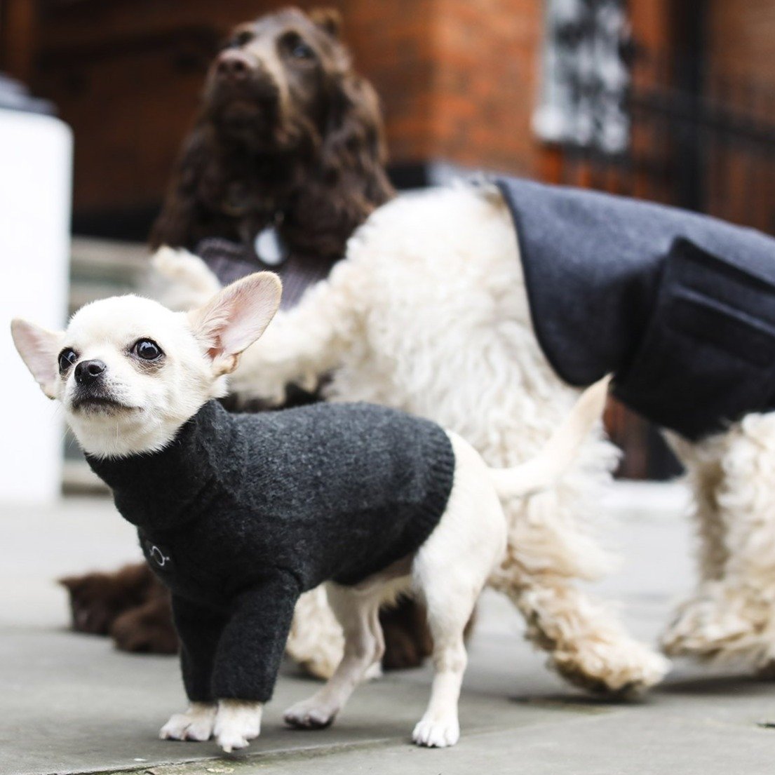 Cashmere Wool Turtleneck Sweater