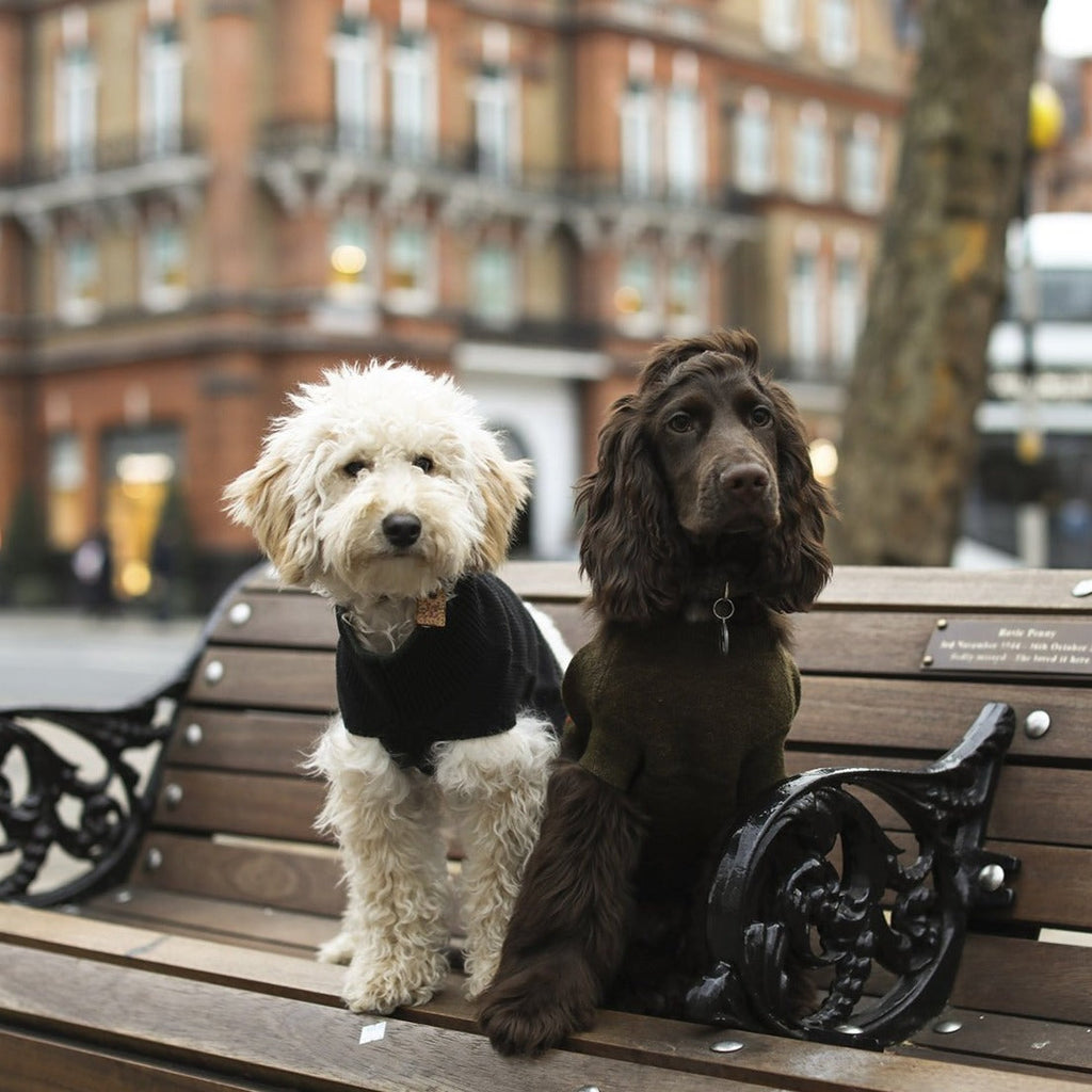 Stripe Hem Sleeveless Jumper