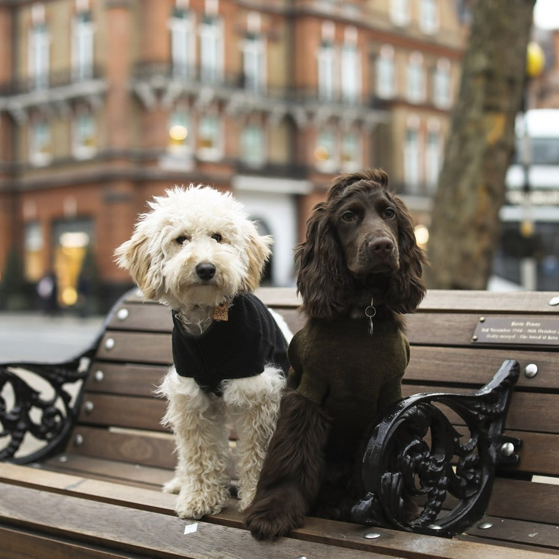 Stripe Hem Sleeveless Jumper