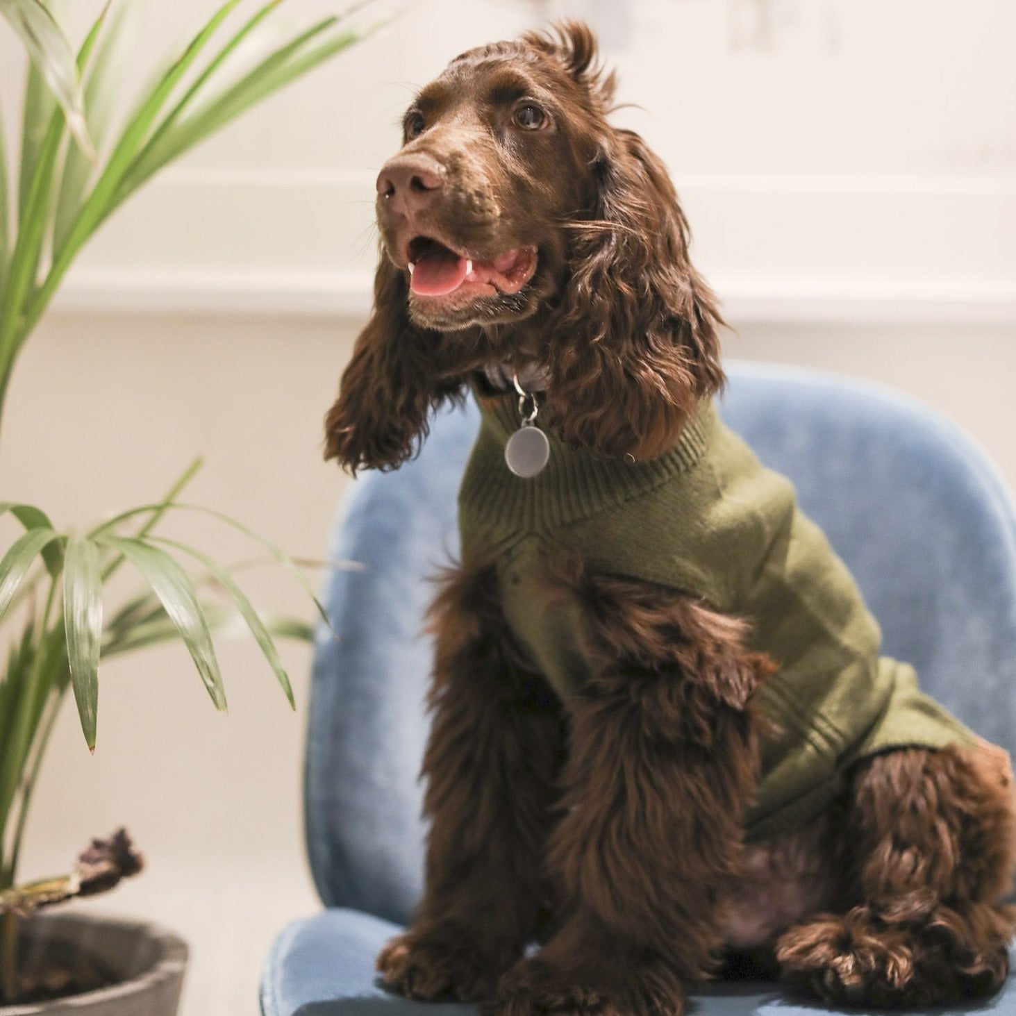Stripe Hem Sleeveless Jumper