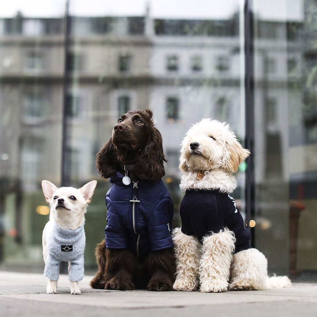 Navy Zip Up Puffer Jacket