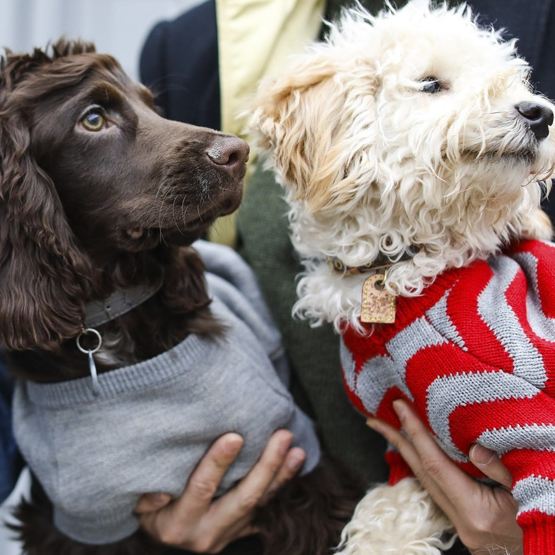 Zig Zag Jumper in Red and Black