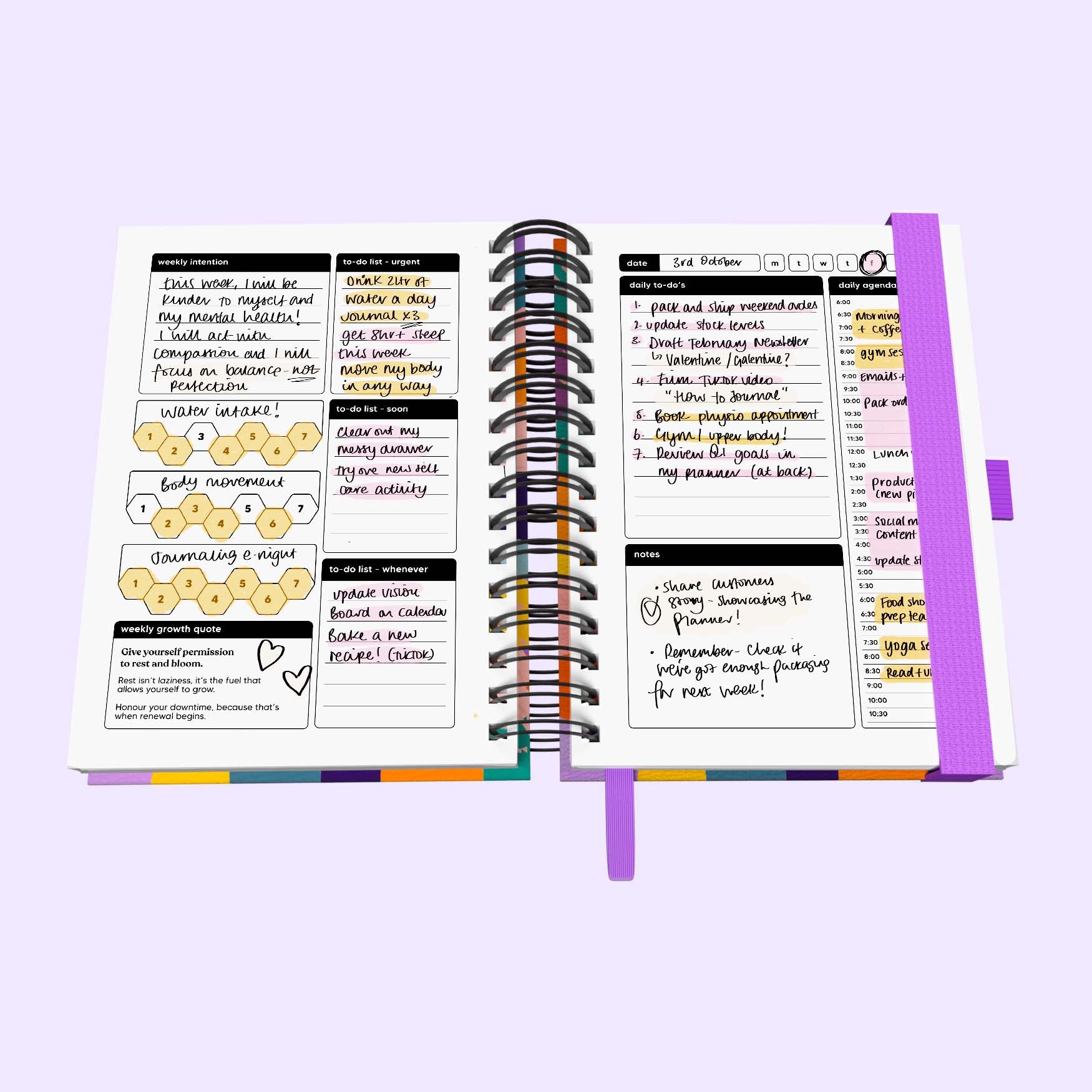 Daily Undated Spiral Journal