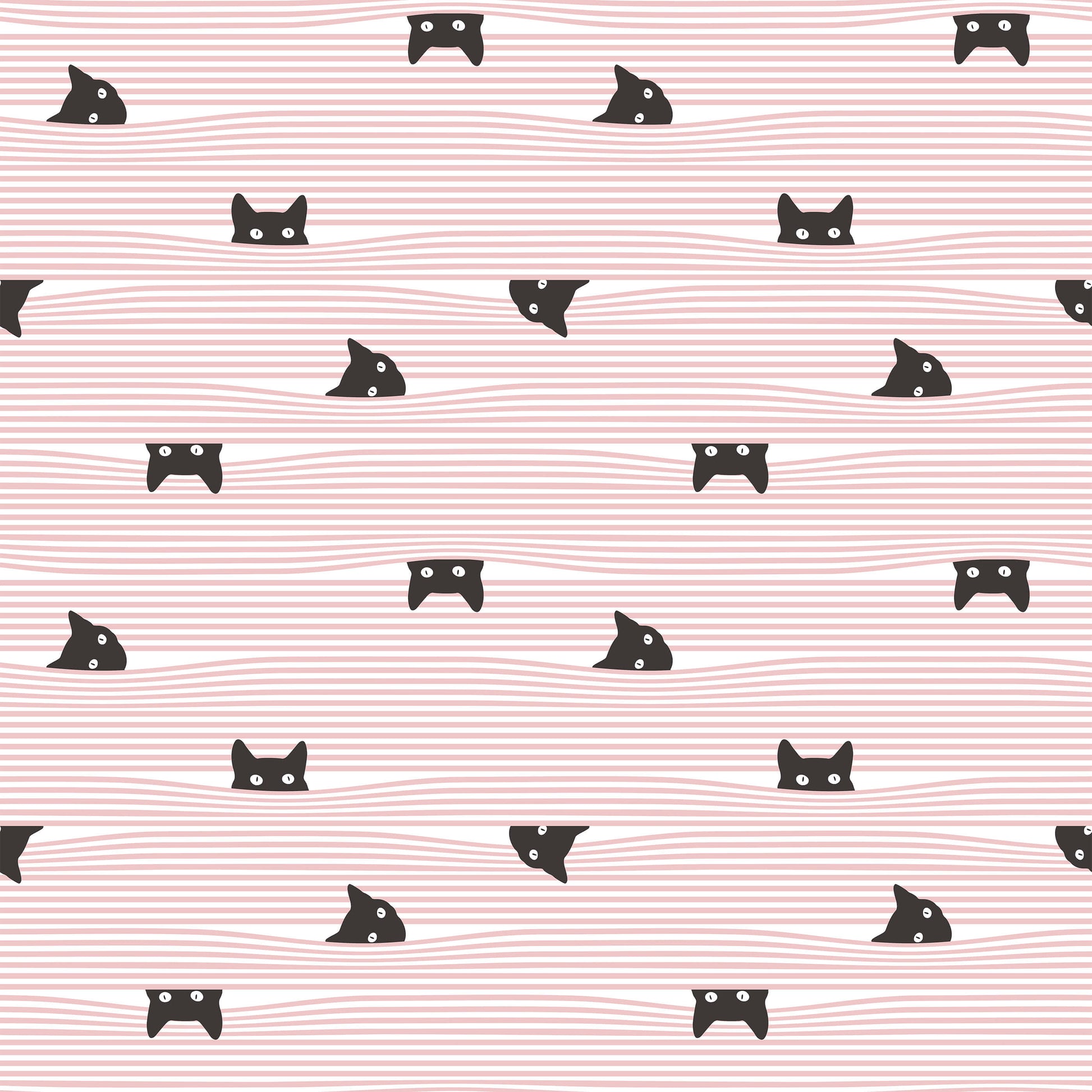 Peeping Cat Wallpaper