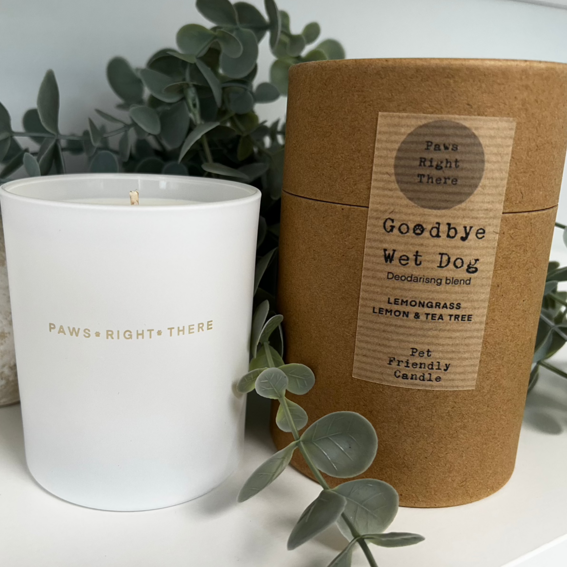 Goodbye Wet Dog Purifying Pet Friendly Candle