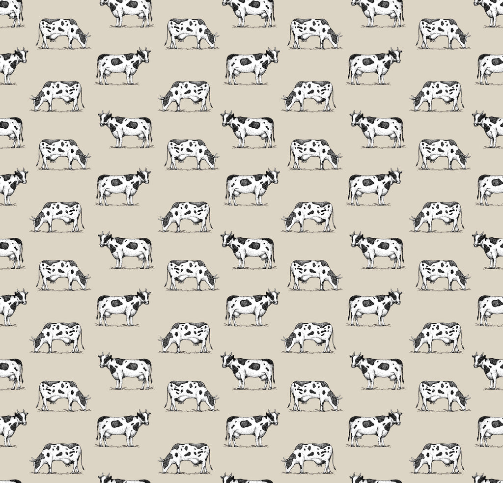 Friesian Cow Wallpaper