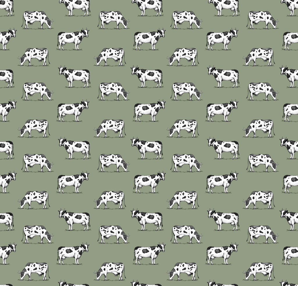 Friesian Cow Wallpaper