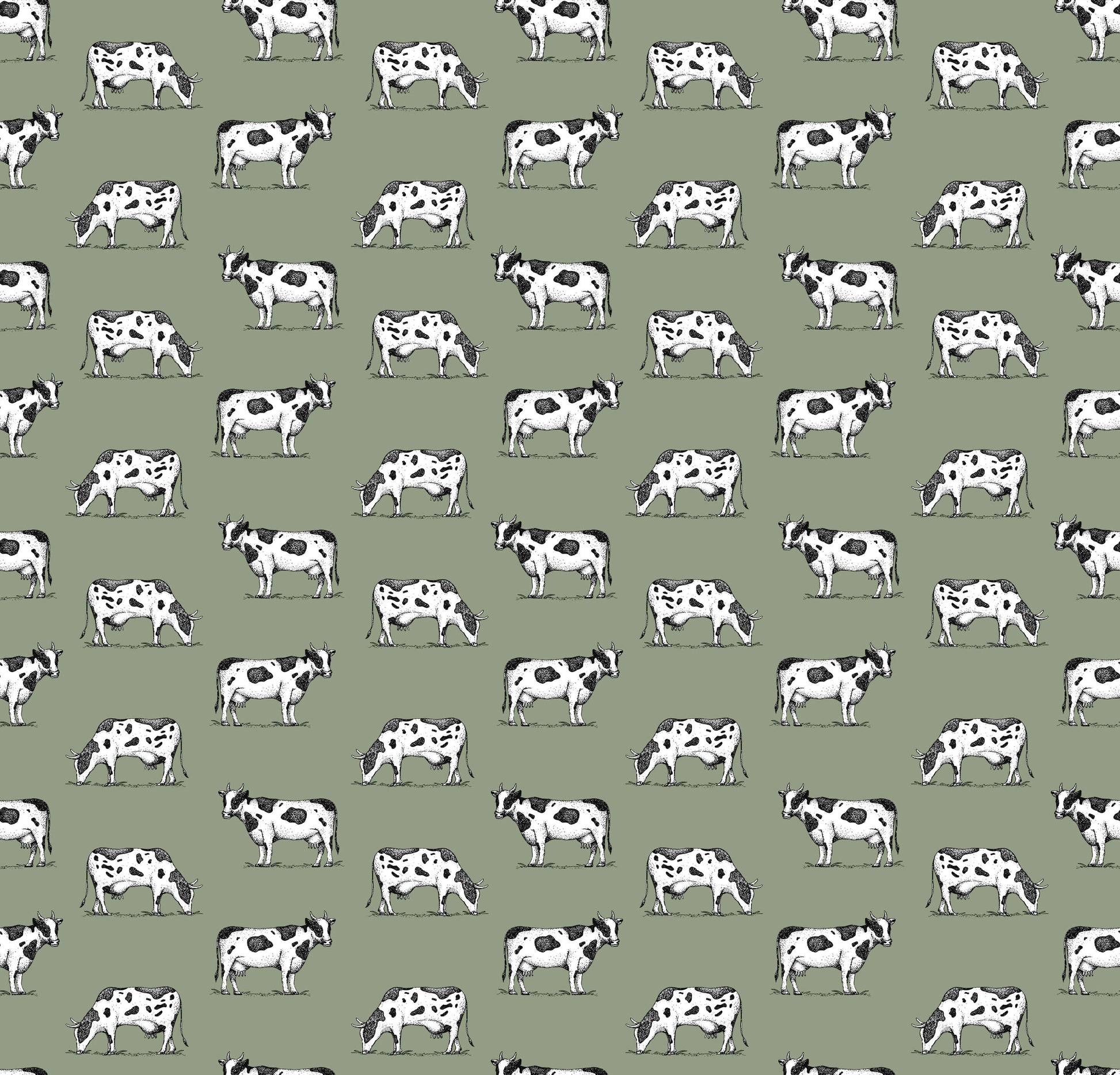 Friesian Cow Wallpaper