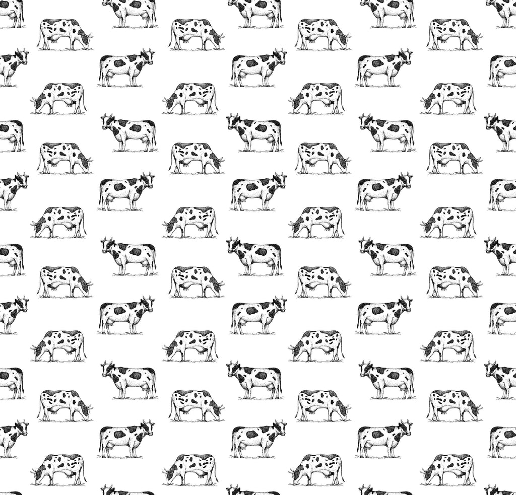 Friesian Cow Wallpaper