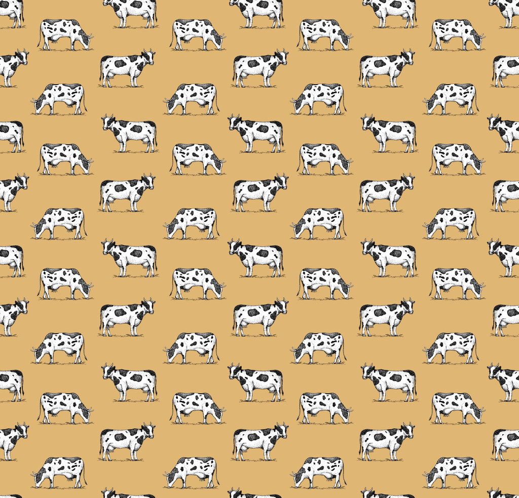 Friesian Cow Wallpaper