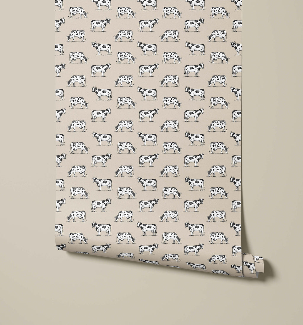 Friesian Cow Wallpaper