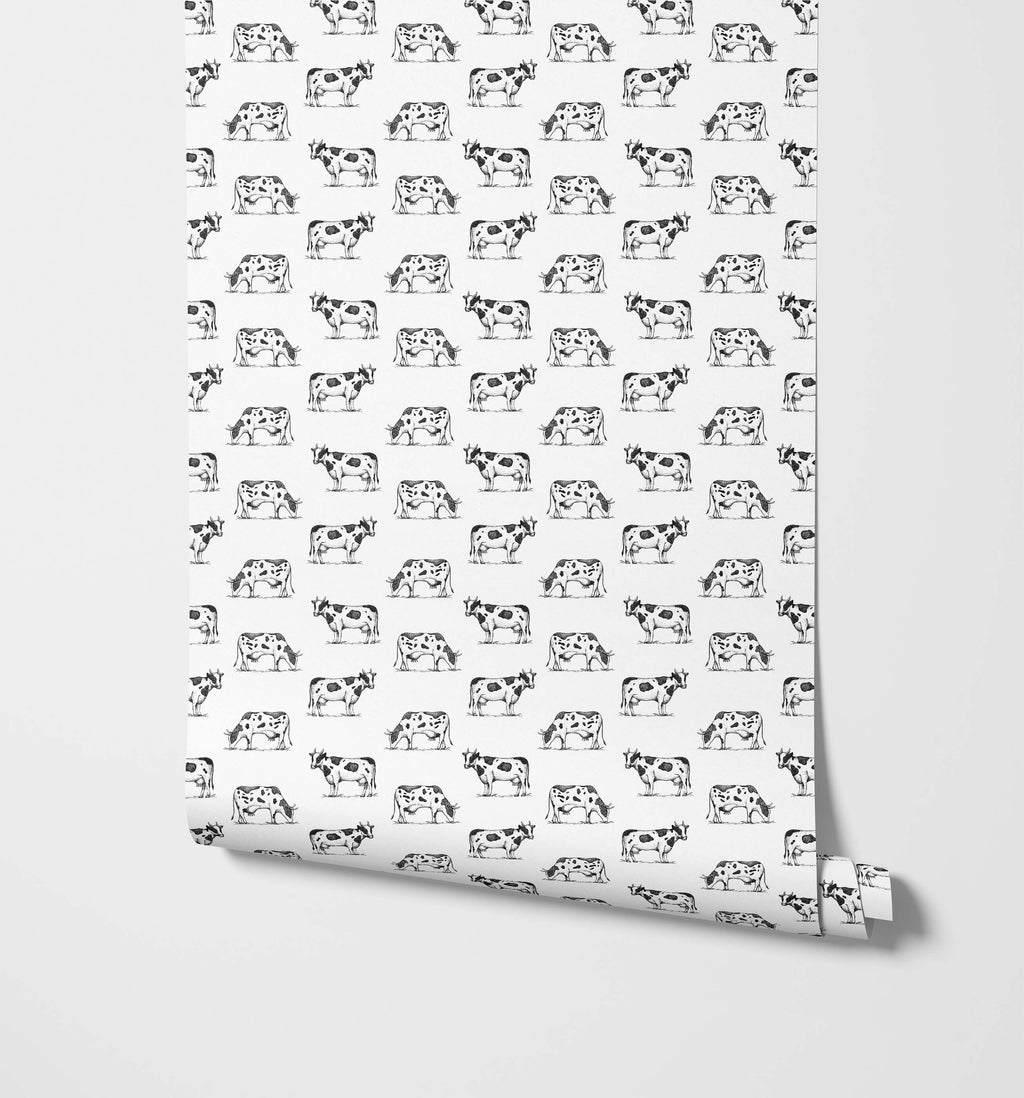 Friesian Cow Wallpaper