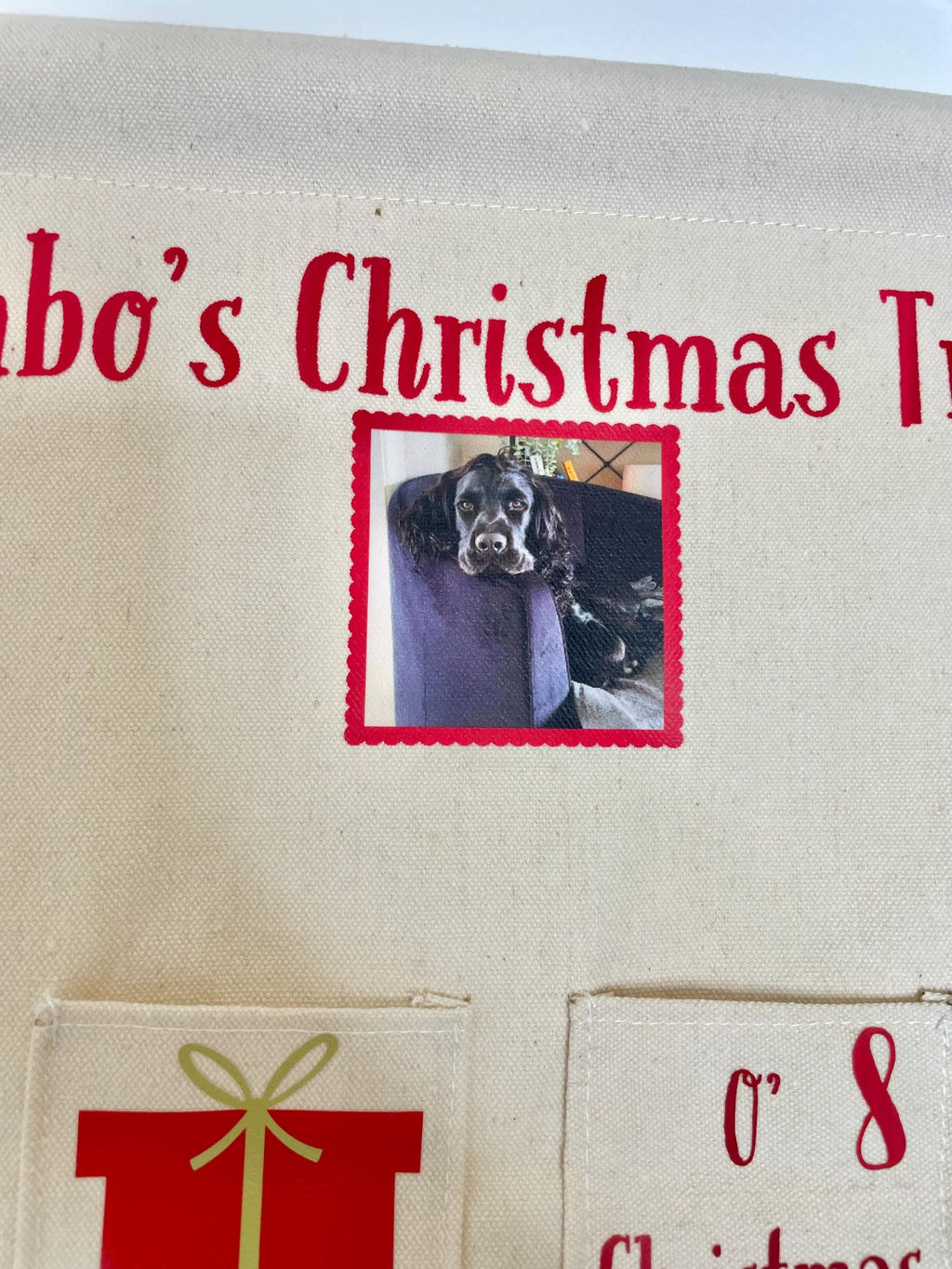 Personalised Pet Advent Calendar with Custom Name