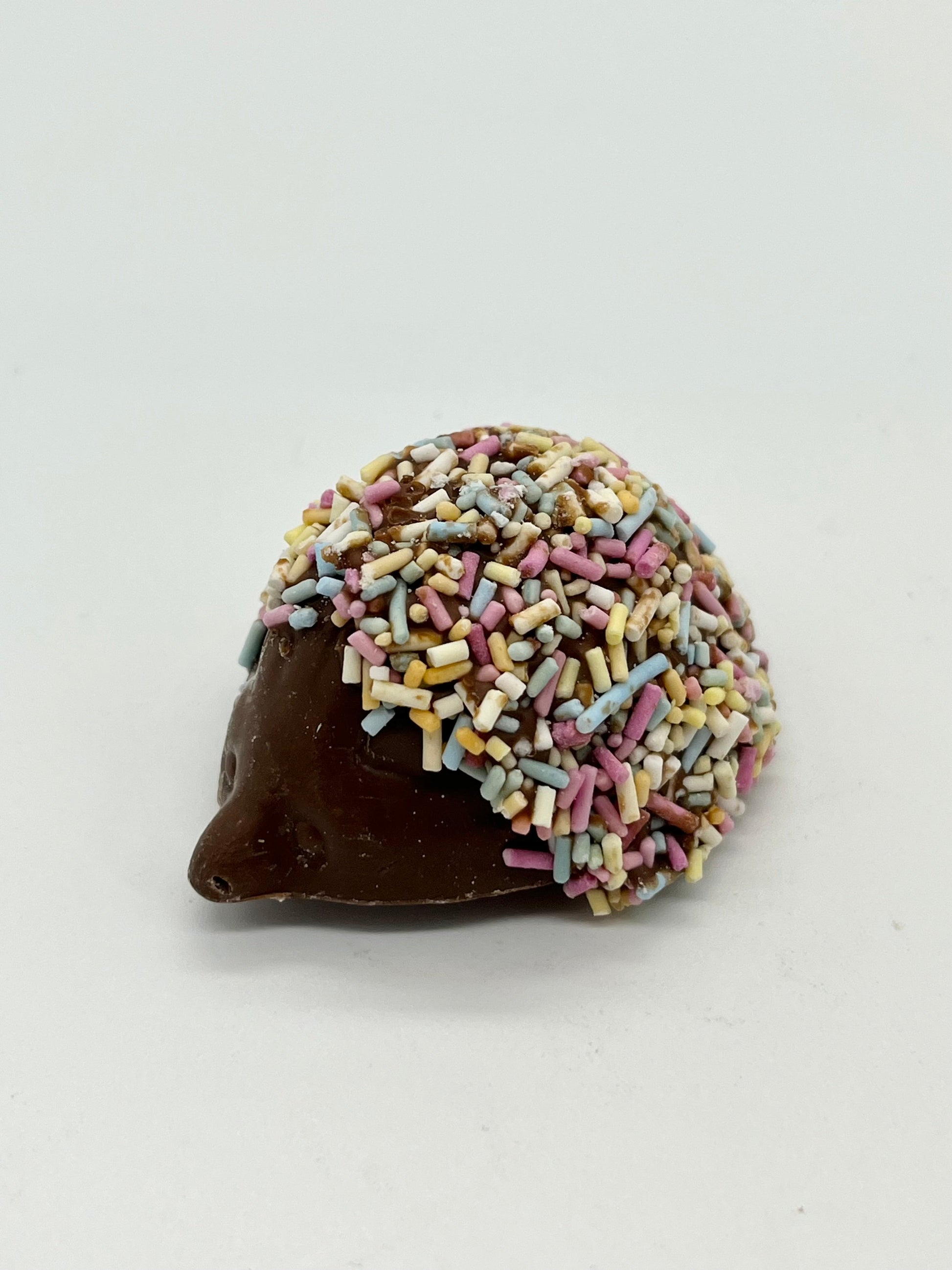 Milk Chocolate Hedgehog with Coloured Sugar Spines