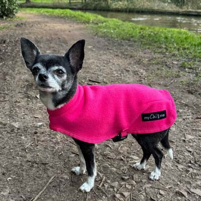 Tiny Toastie Water Repellent Fleece Dog Coat in Hot Pink