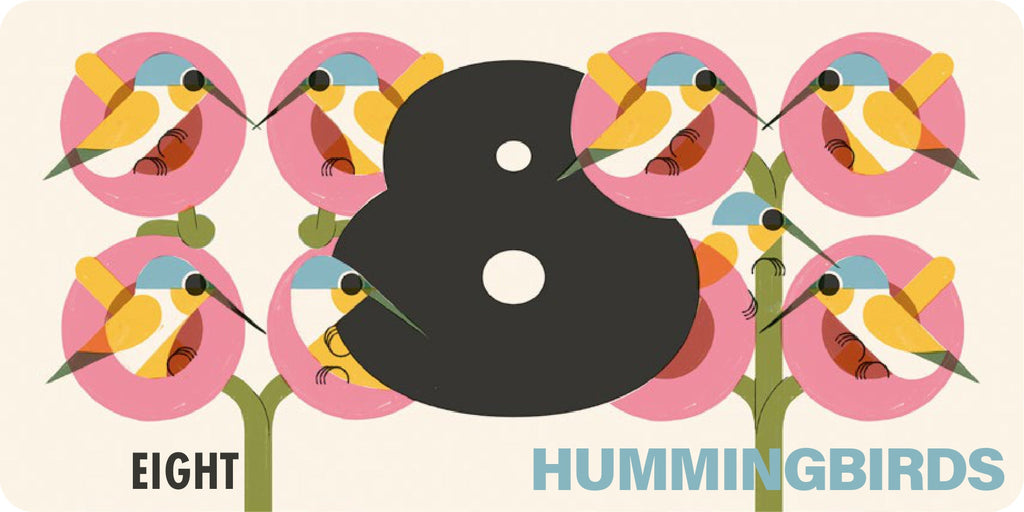 How Many Birds Counting Book for Children