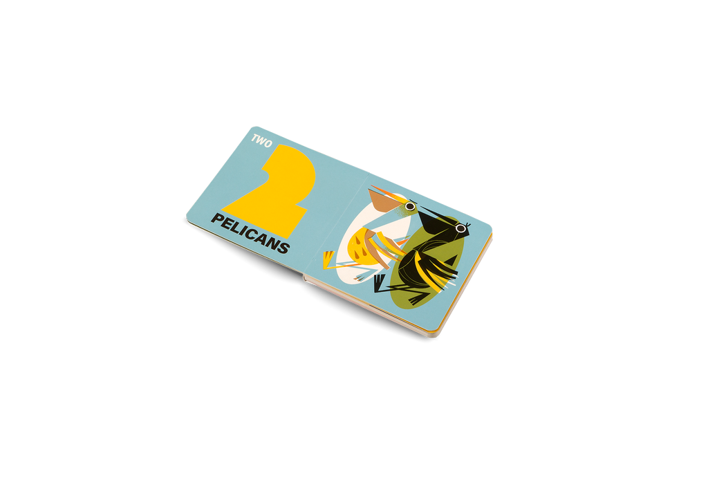 How Many Birds Counting Book for Children