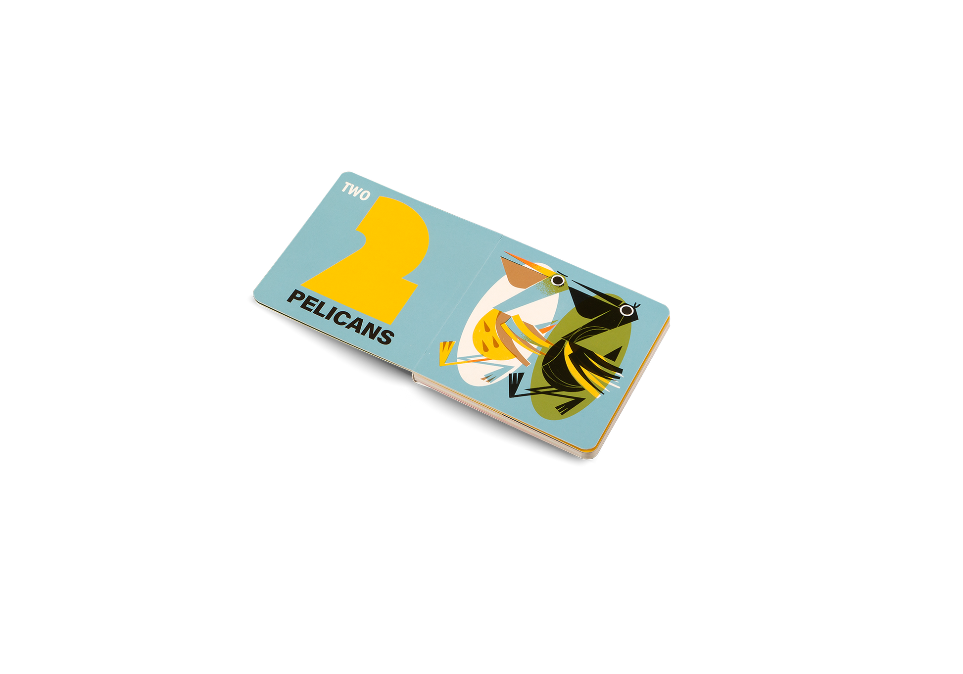 How Many Birds Counting Book for Children