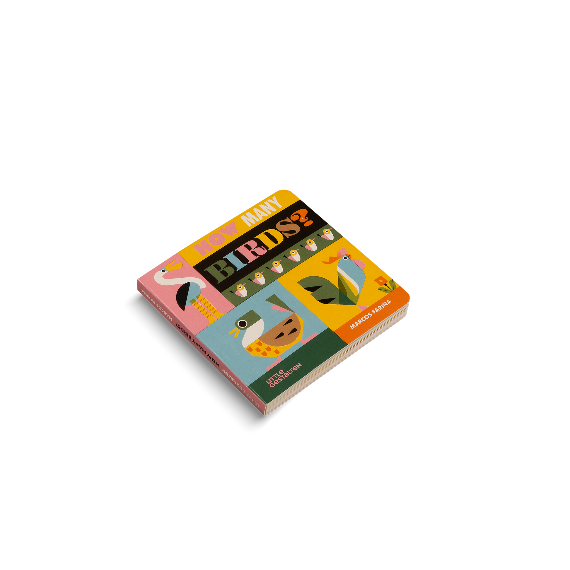 How Many Birds Counting Book for Children