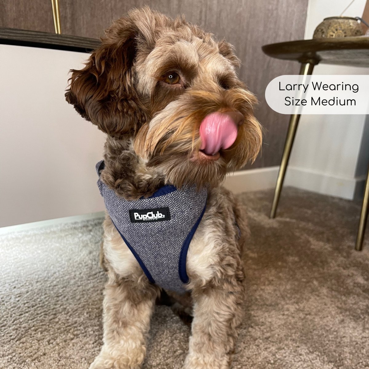 Tweed Adjustable Harness in Blue