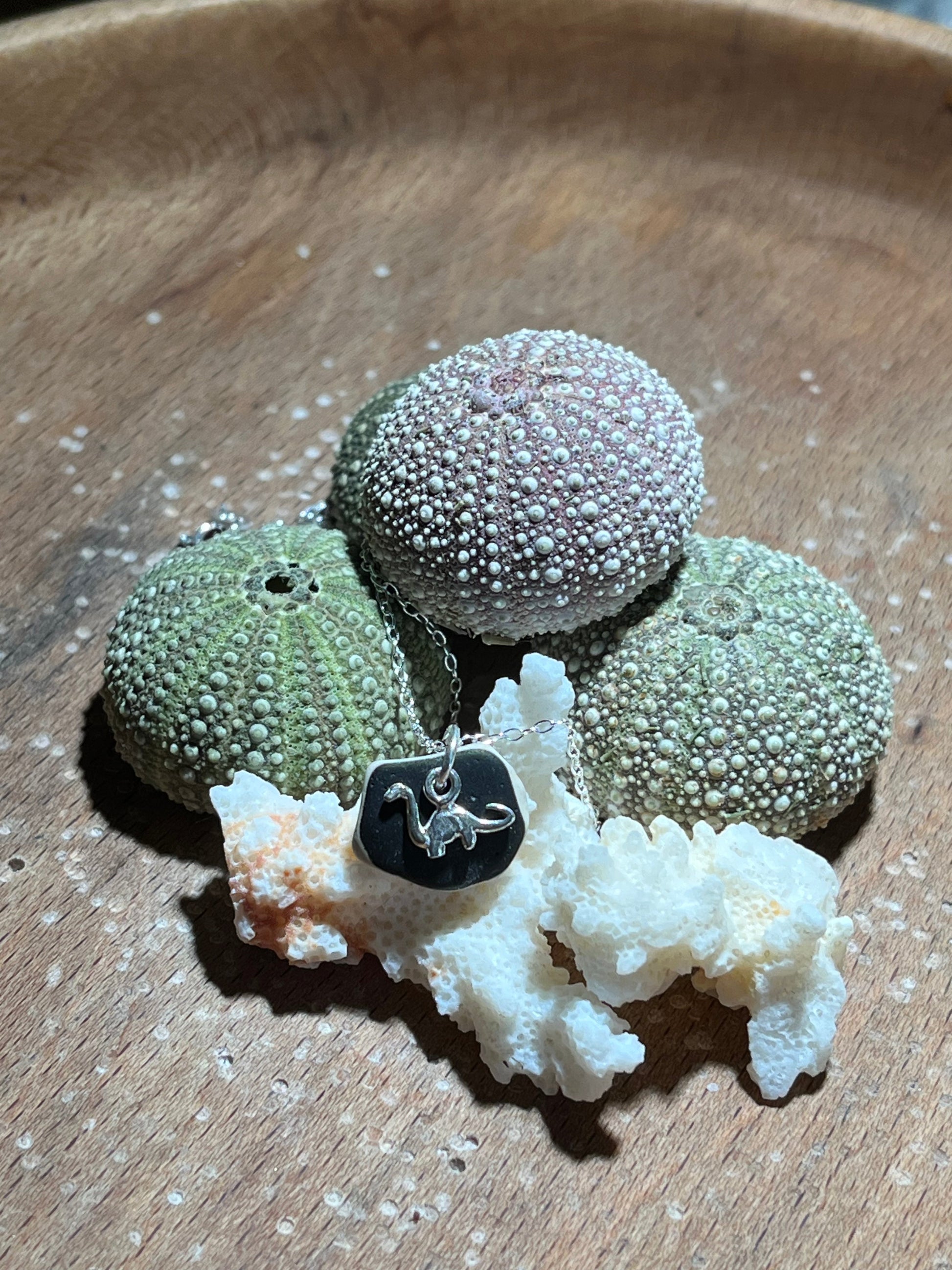 Dinosaur Silver Pendant with Sea Pottery