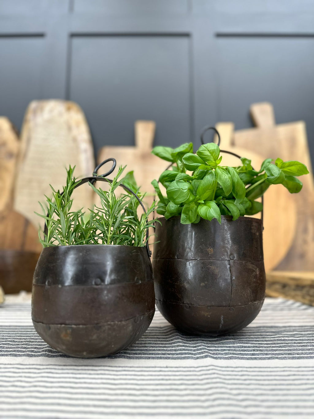 Pair of Iron Hanging Plant Pots