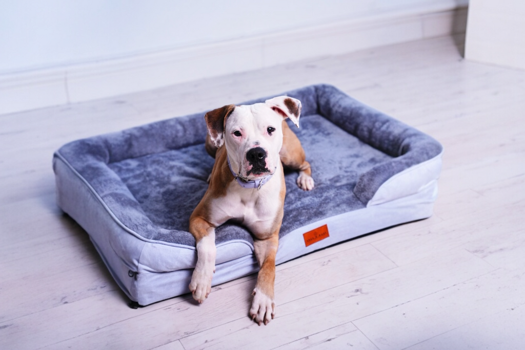 Washable Orthopaedic Dog Sofa Bed - Large