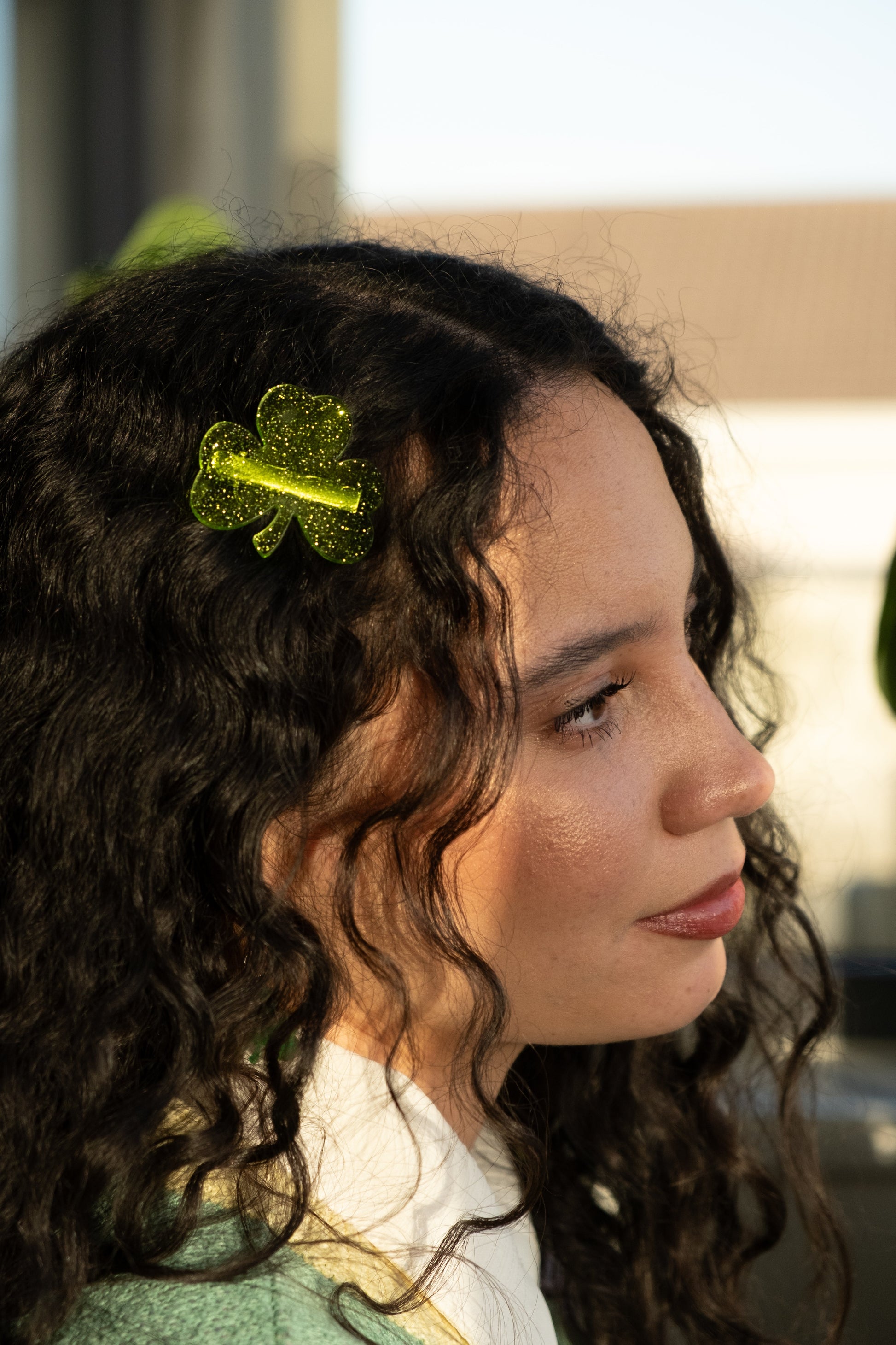Shamrock Hair Clips Set of 2
