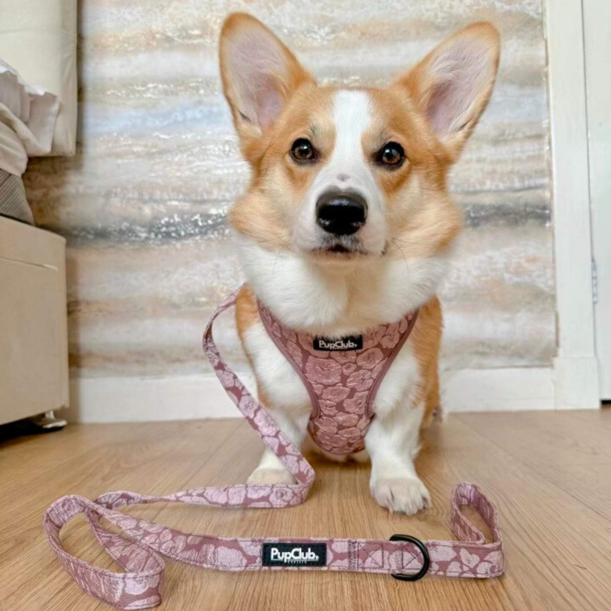 Mocha Petals Adjustable Dog Harness