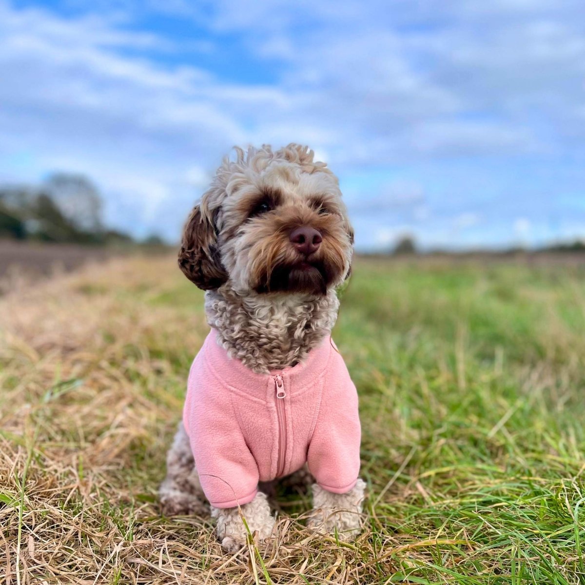 Pale Pink Dog Fleece Coat