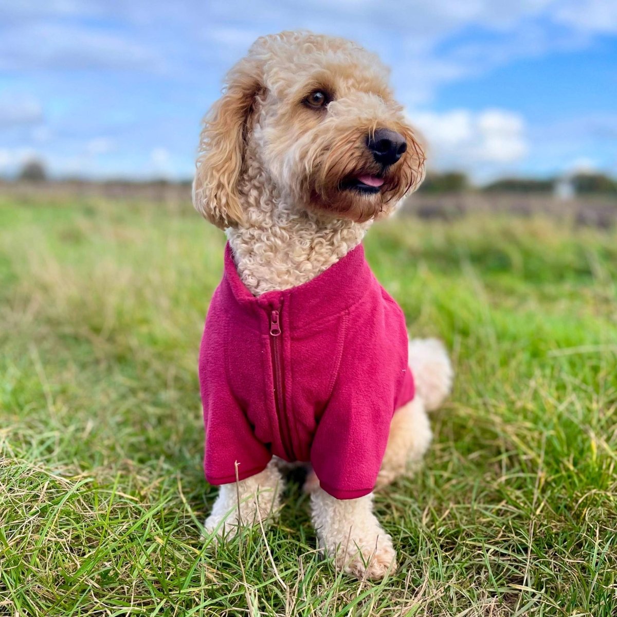 Dog Fleece Coat in Berry Red
