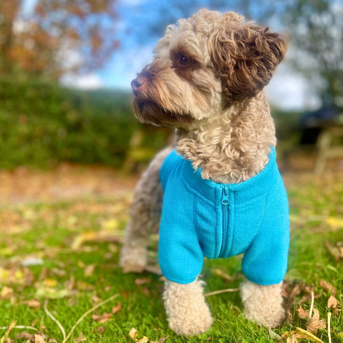 Blue Fleece Dog Coat