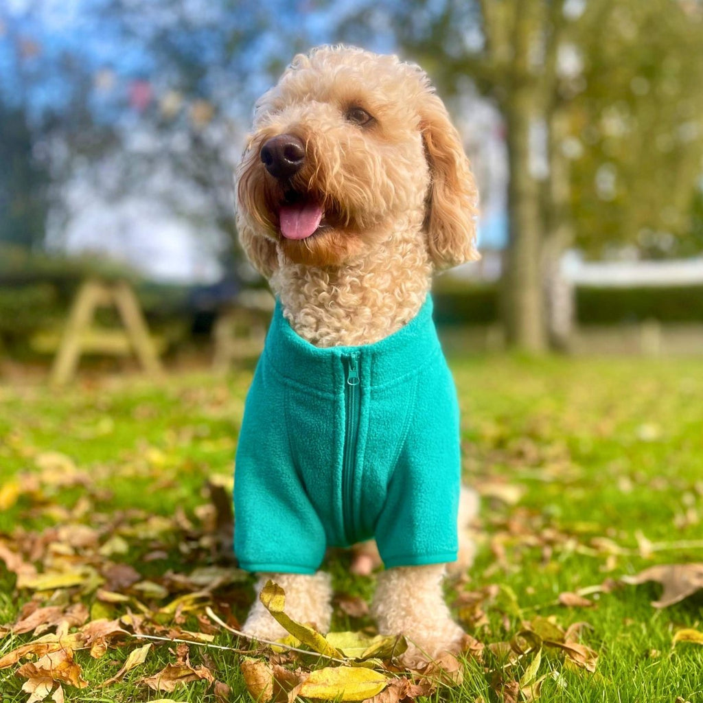Green Dog Fleece Coat