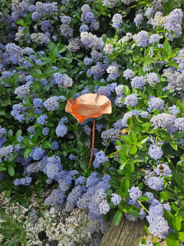 Set of 3 Copper Bee Drinkers