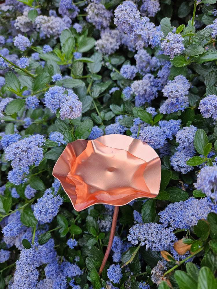 Set of 3 Copper Bee Drinkers