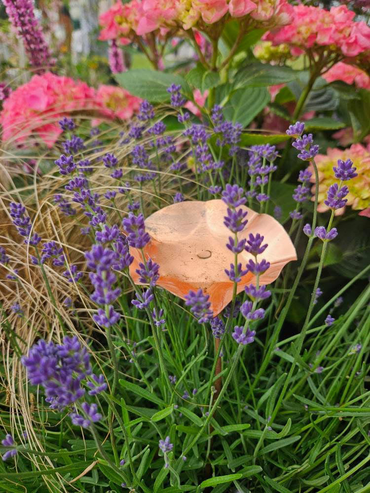 Set of 3 Copper Bee Drinkers