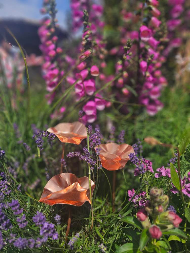 Set of 3 Copper Bee Drinkers