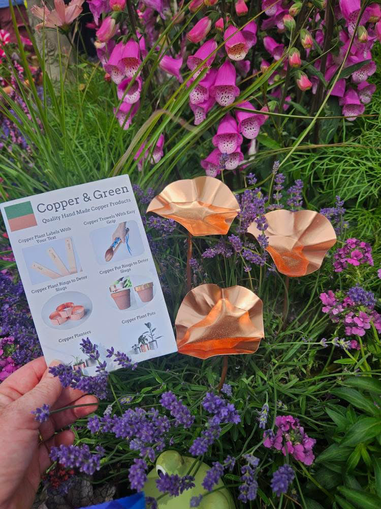 Set of 3 Copper Bee Drinkers