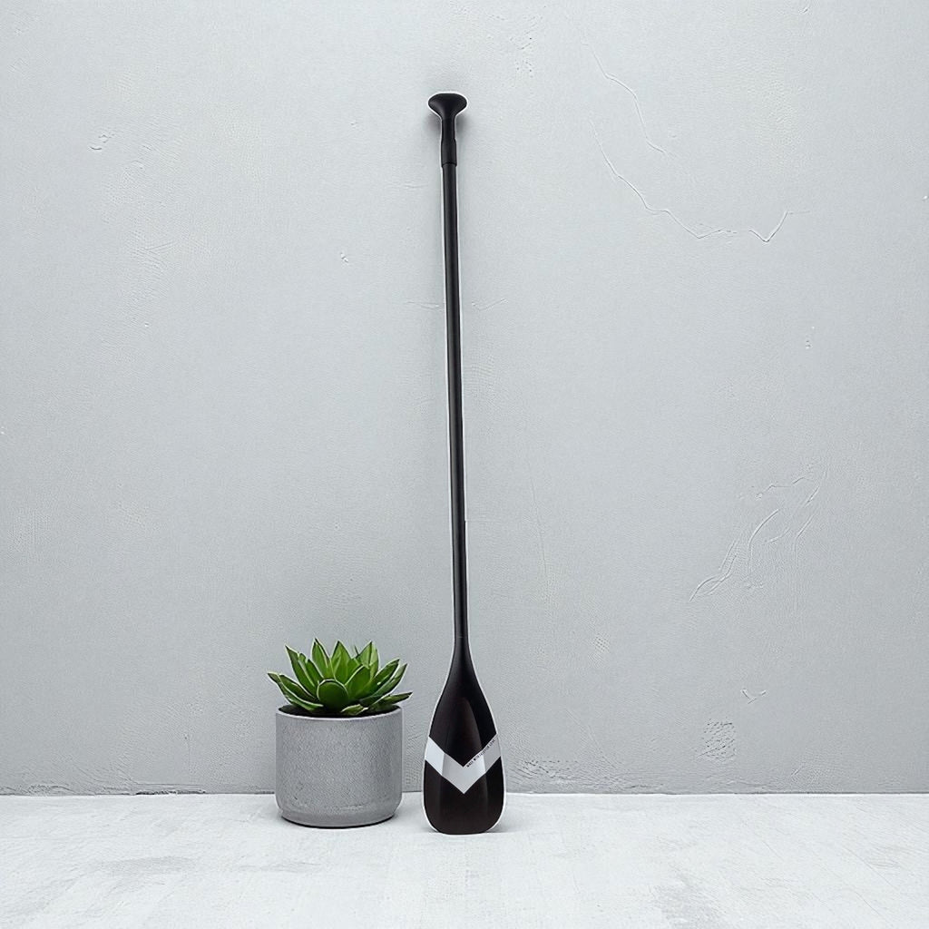 Full Carbon 2 Piece SUP Paddle with Free Paddle Bag