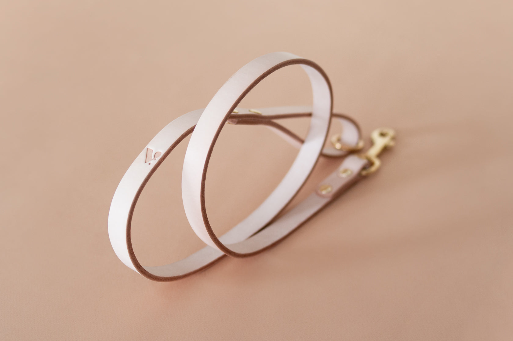 Classic Leather Dog Lead