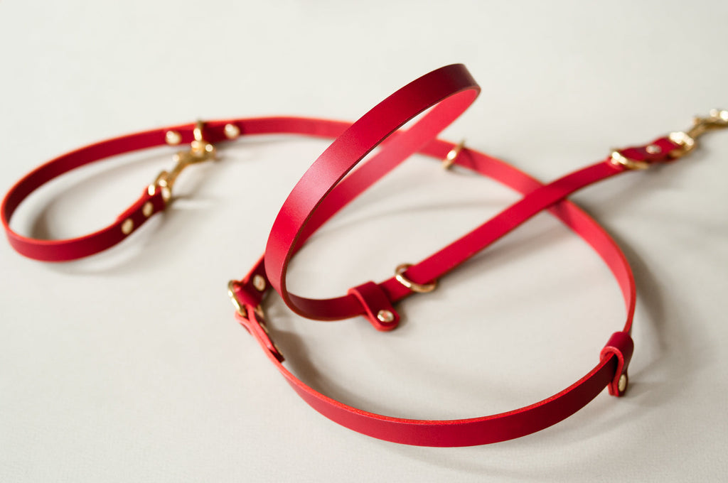 Long Leather Multi Lead for Dogs