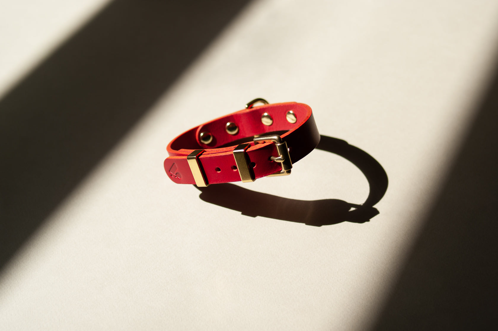 Monotone Leather Collar