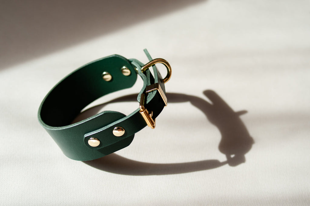 Leather Collar for Sighthounds