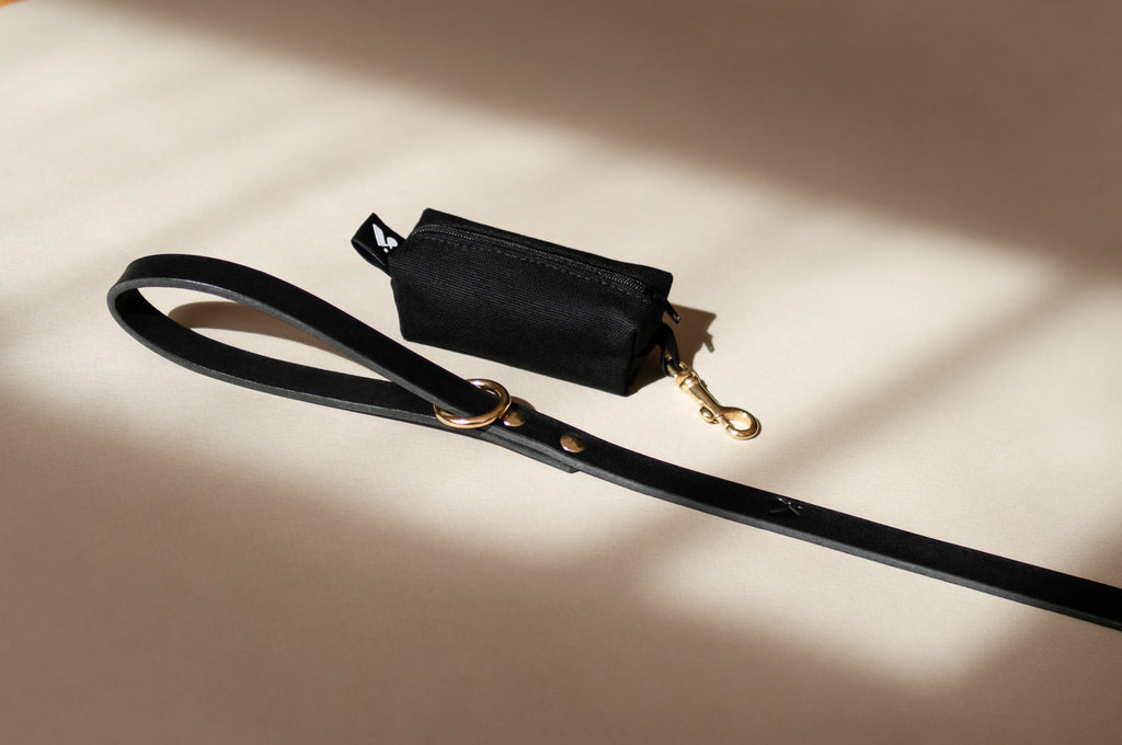 Waste Bag and Treat Holder