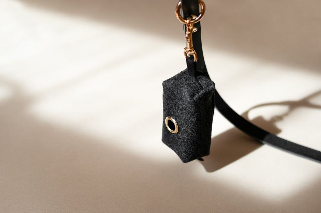 Waste Bag and Treat Holder