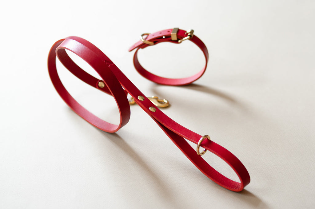 Classic Leather Dog Lead