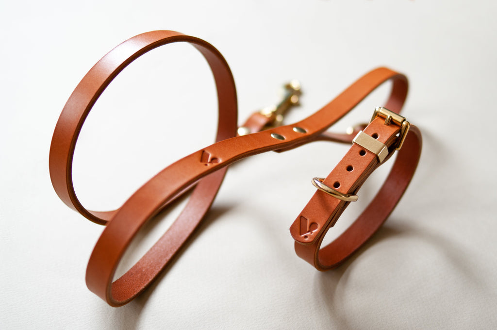 Classic Leather Collar