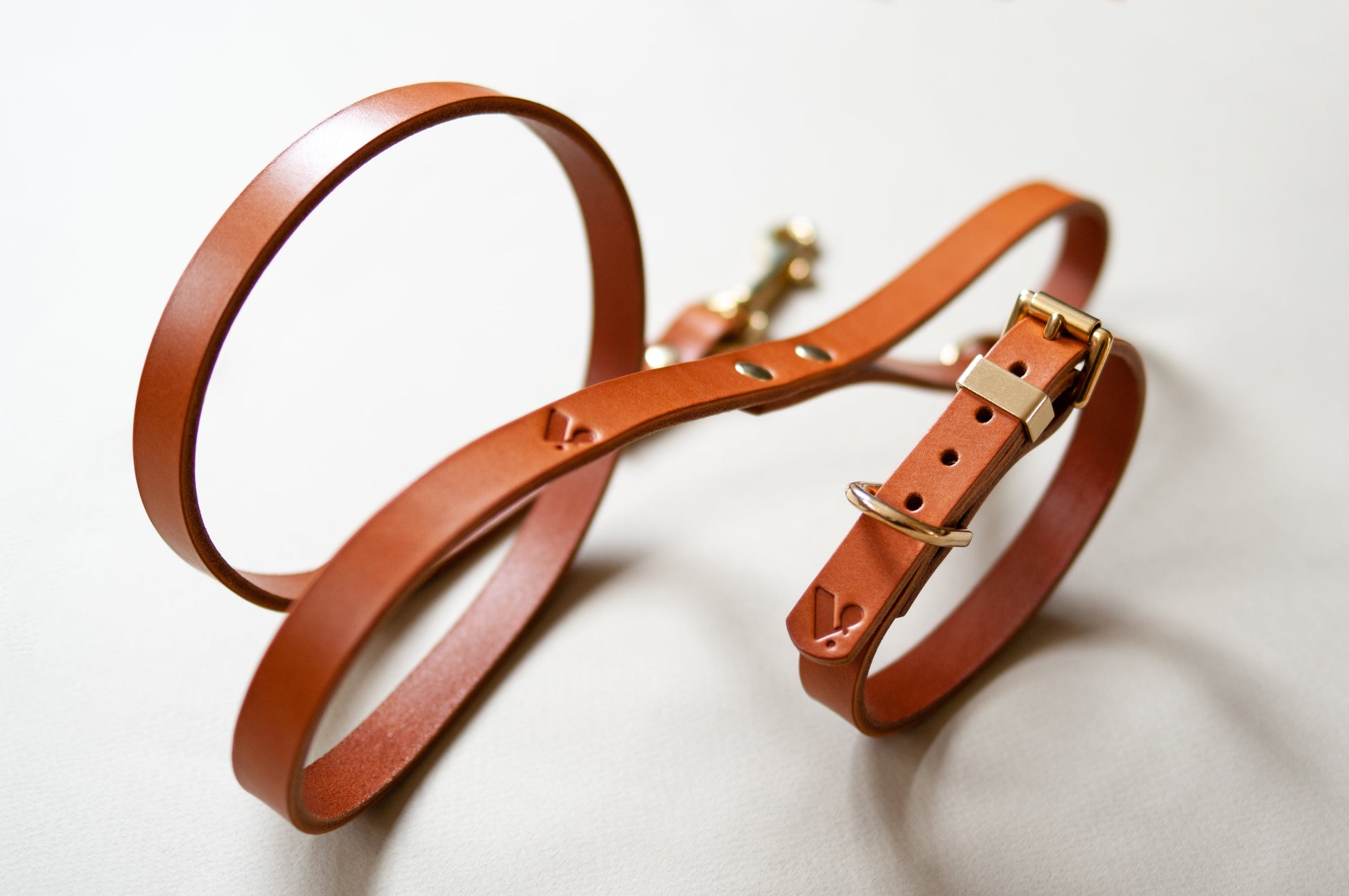 Classic Leather Collar