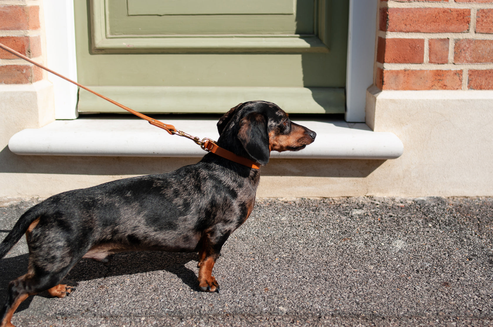 Classic Leather Collar